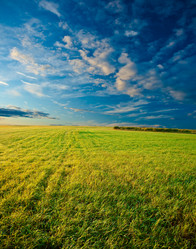 Similar image 1466131