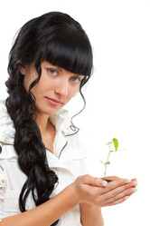 Similar image 1466134