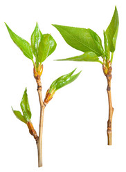 Similar image 1466155