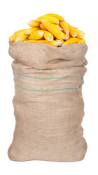 Similar image 1466219