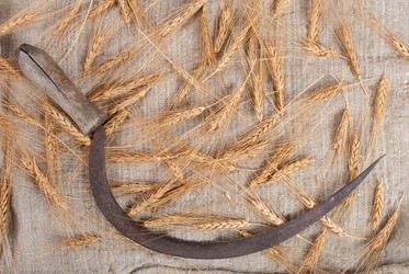 Similar image 1466220