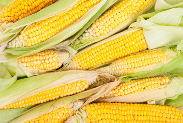 Similar image 1466225