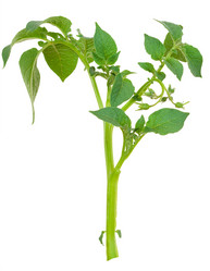 Similar image 1466227