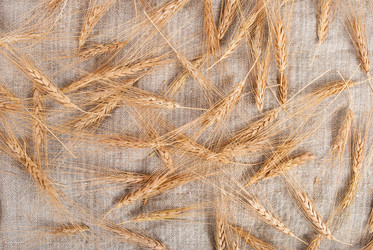 Similar image 1466230