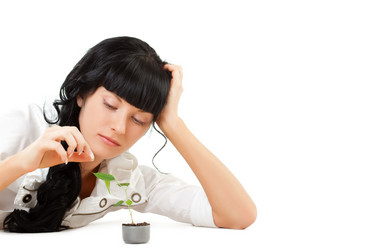 Similar image 1466234