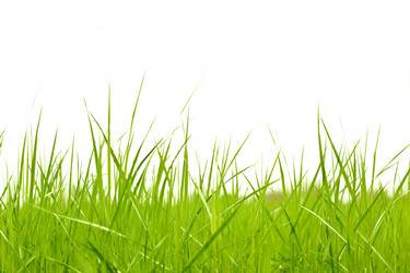 Similar image 1466374