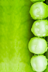 Similar image 1466379