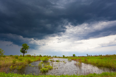 Similar image 1466387