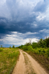 Similar image 1466388