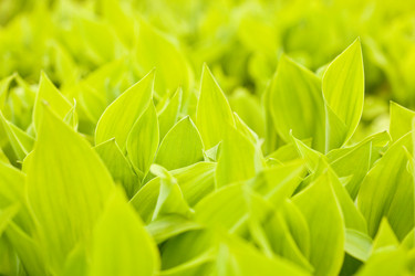 Similar image 1466389