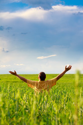 Similar image 1466407