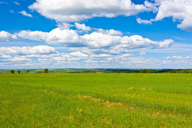 Similar image 1466419