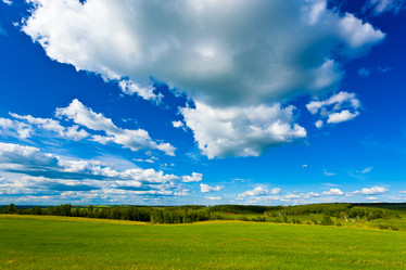 Similar image 1466421