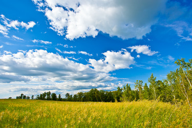 Similar image 1466422