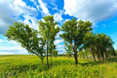 Similar image 1466423