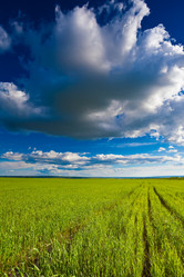 Similar image 1466424