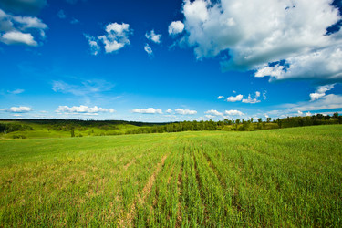 Similar image 1466430