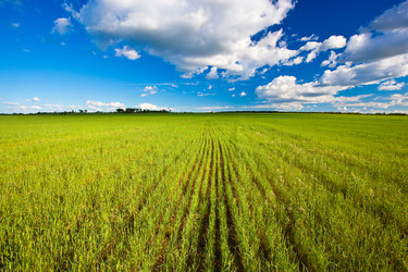 Similar image 1466431