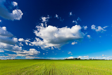 Similar image 1466434