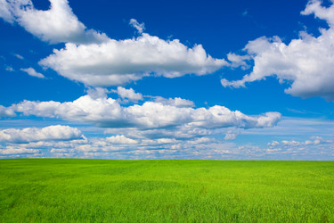 Similar image 1466438