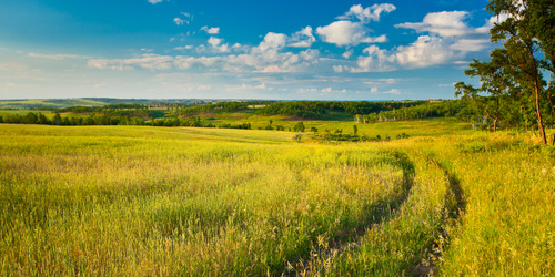 Similar image 1466447