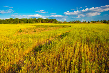 Similar image 1466448