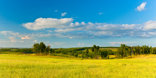 Similar image 1466449