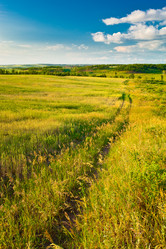 Similar image 1466451