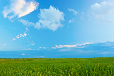 Similar image 1466453