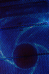 Similar image 1466490