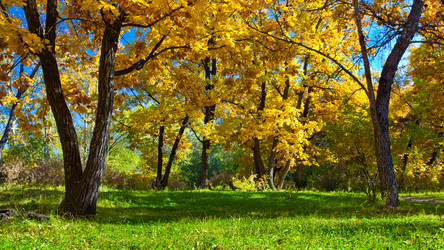 Similar image 1466529