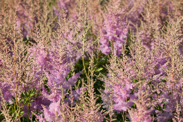 Similar image 1466548