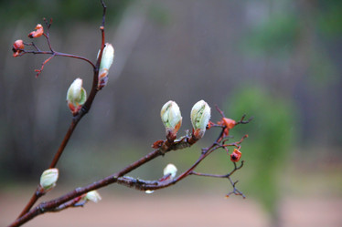 Similar image 1466583