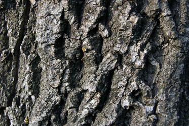 Similar image 1466647