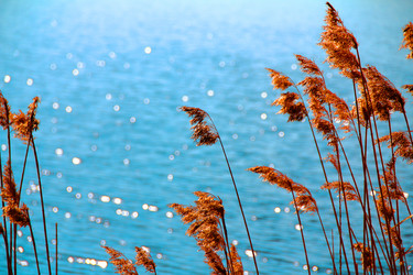 Similar image 1466657