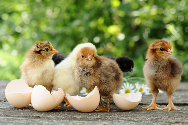 Similar image 1466861