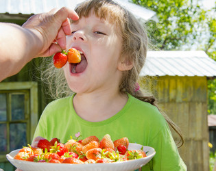 Similar image 1466873