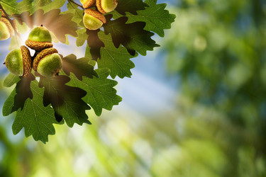 Similar image 1467736