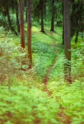 Similar image 1467737