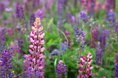 Similar image 1467739