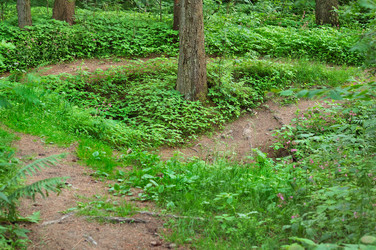 Similar image 1467740