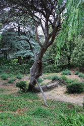 Similar image 1467780