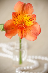 Similar image 1467813