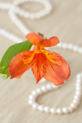 Similar image 1467828