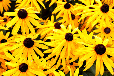 Similar image 1467833