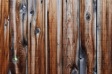 Similar image 1467850