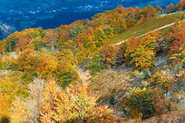 Similar image 1467962