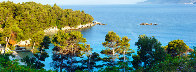 Similar image 1467994