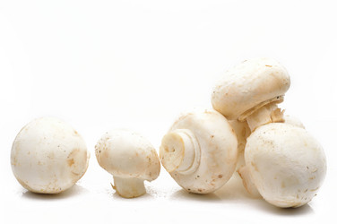 Similar image 1468004