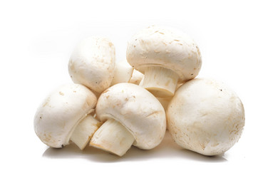 Similar image 1468007